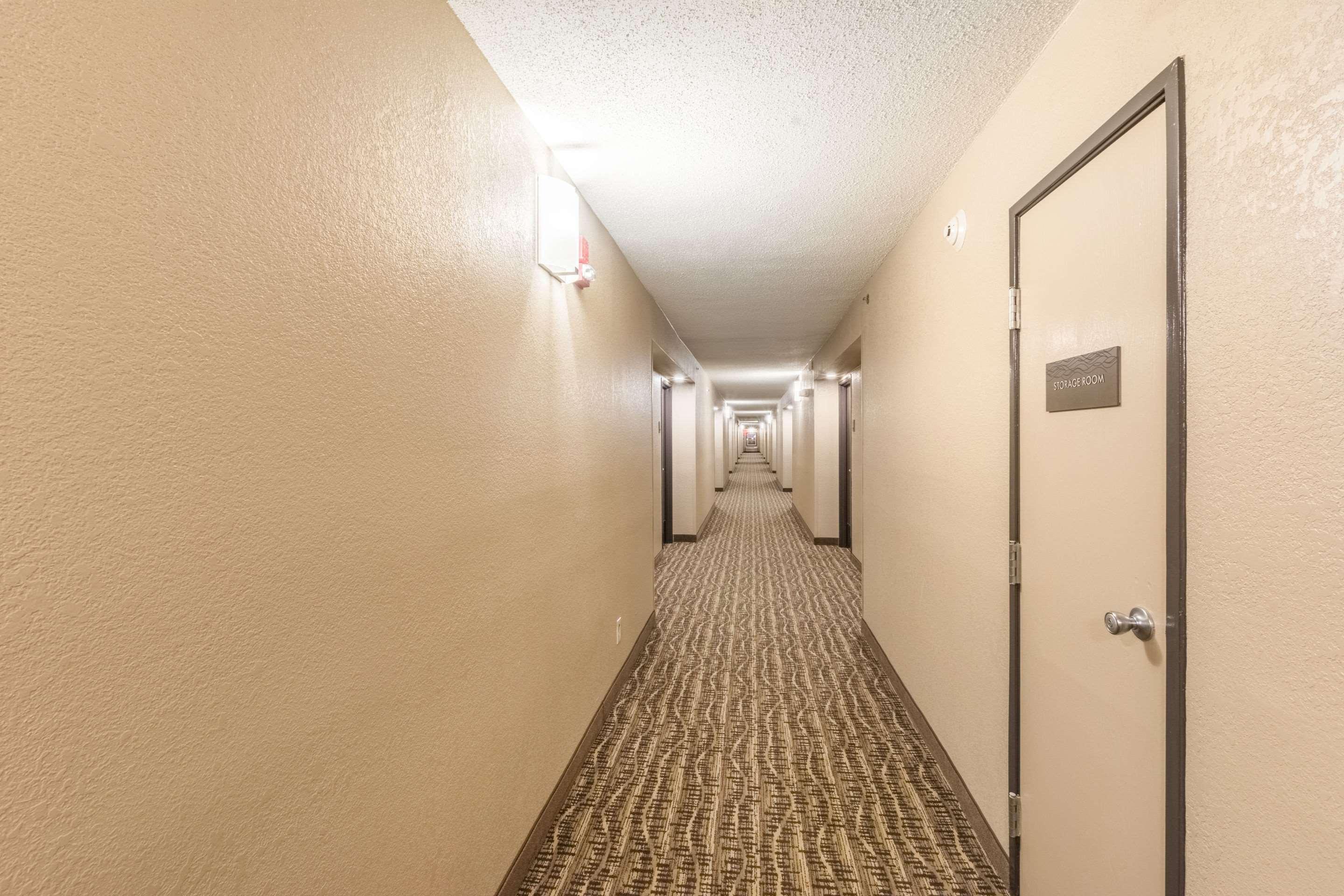 Comfort Inn Charlotte Airport Uptown Extérieur photo